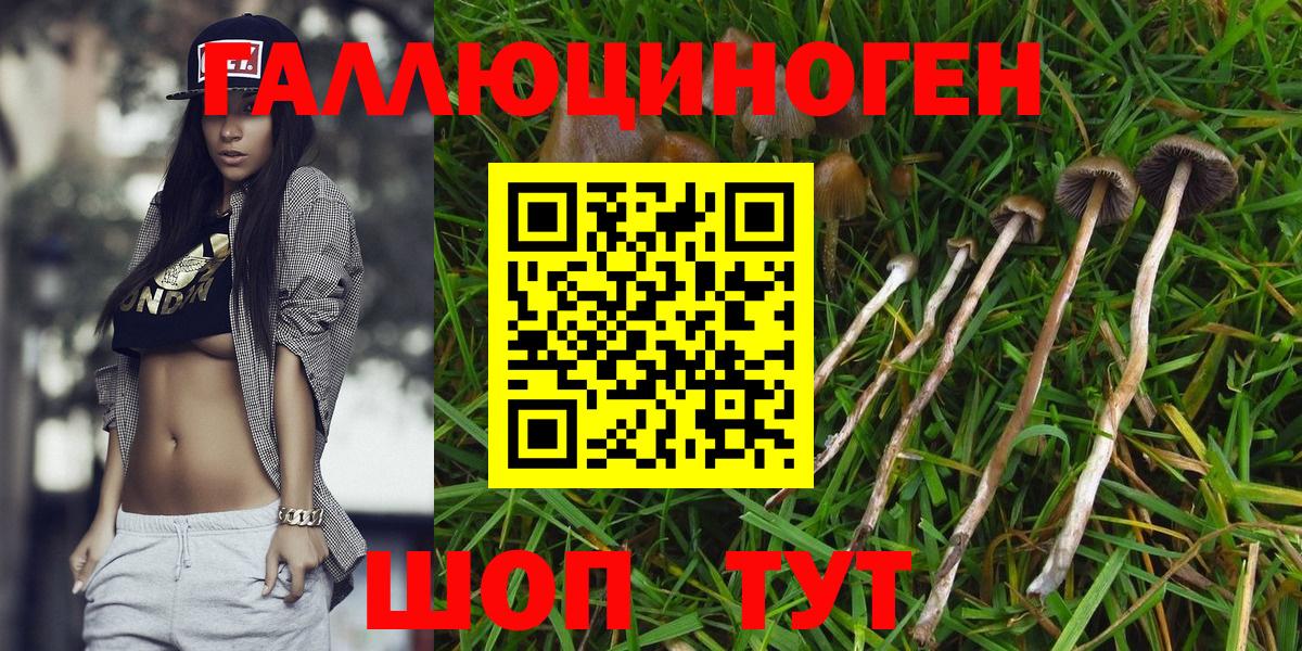Галлюциногенные грибы мицелий  Вход с VPN  Озёры 