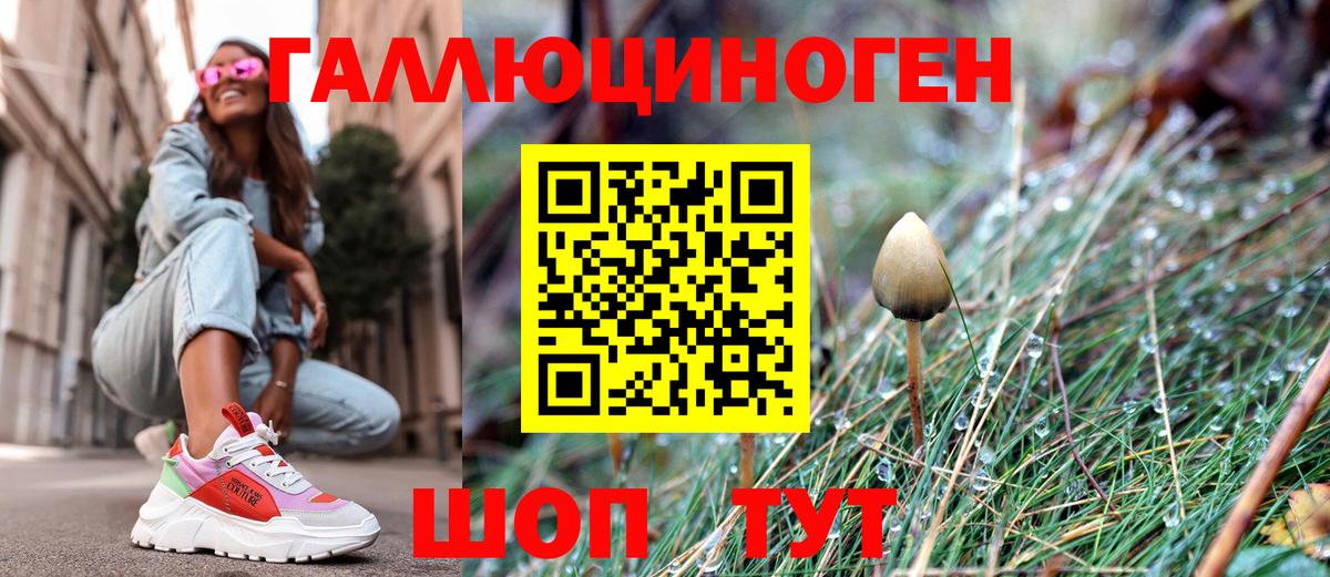 Псилоцибиновые грибы мицелий Озёры